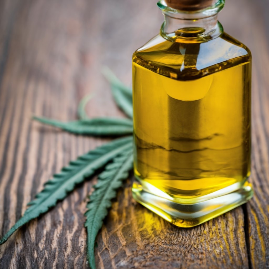 cannabis-oel-herstellen-olivenoel