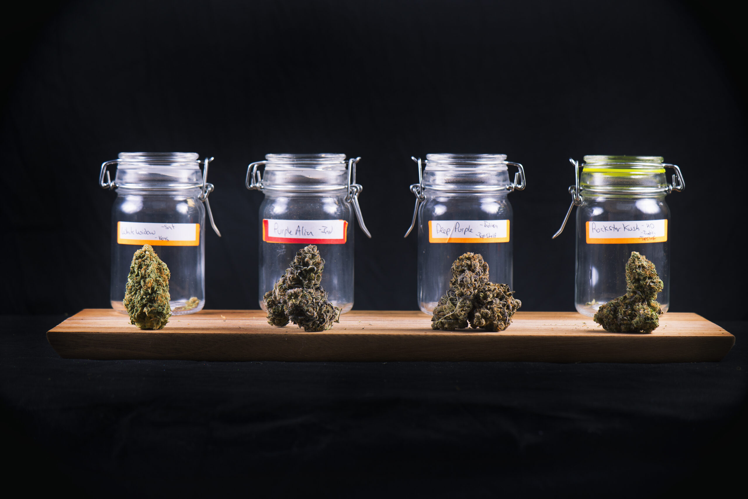 richtige-cannabis-sorte-growbox-auswaehlen