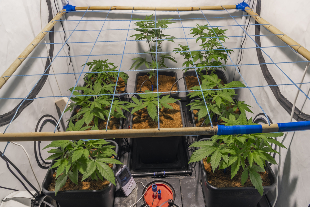 zubehoer-benoetigst-growbox