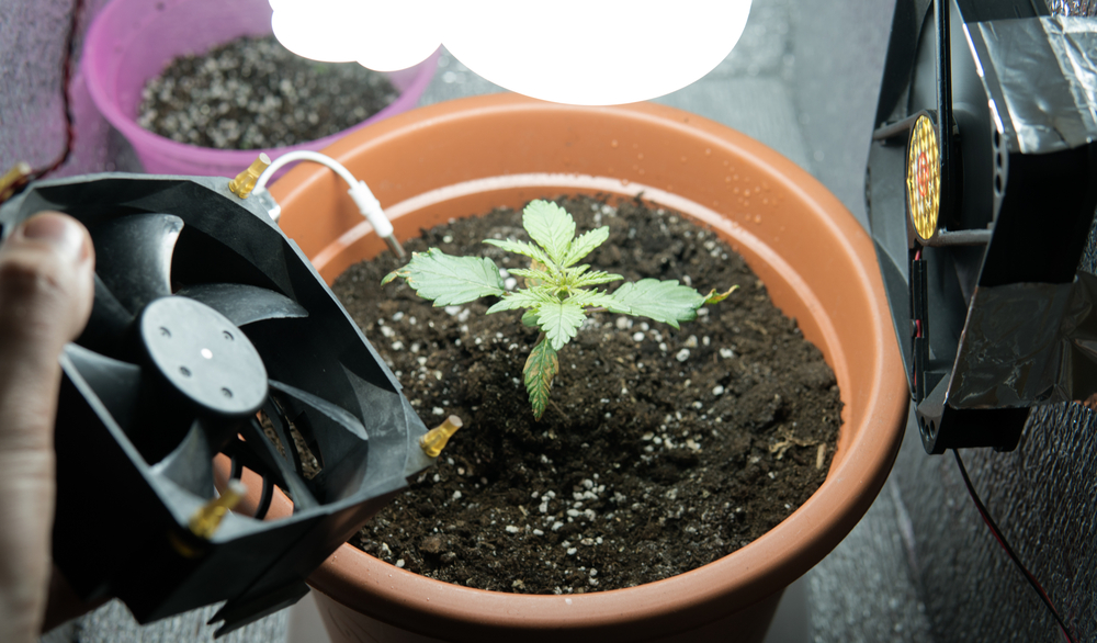 belueftung-growbox-cannabisanbau-abluftsysteme