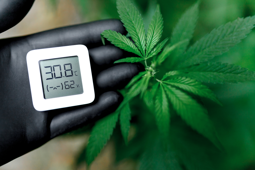 growbox-heiss-senkst-temperatur
